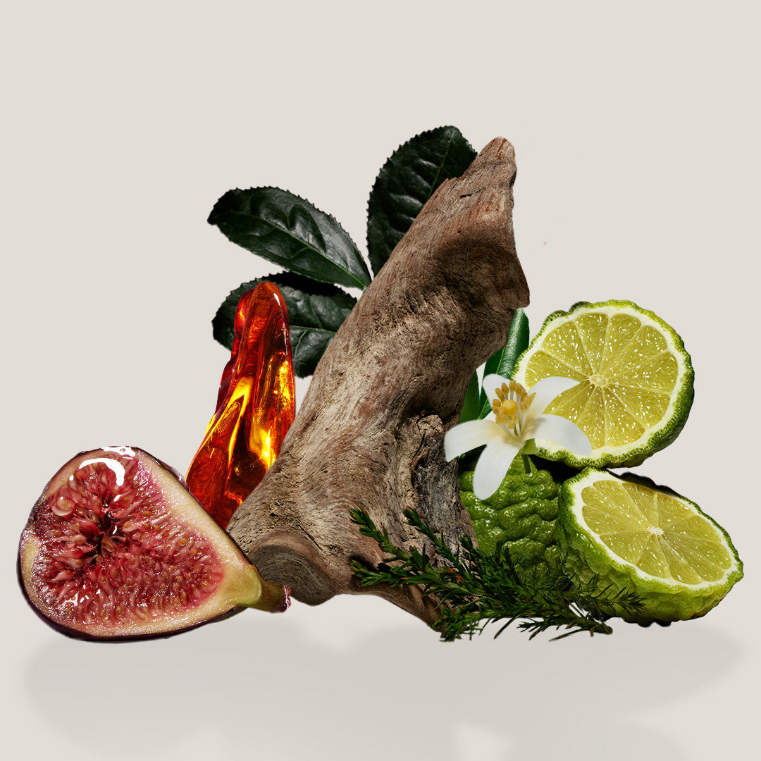 Awaken Your Senses with VOESH’s Signature Scents