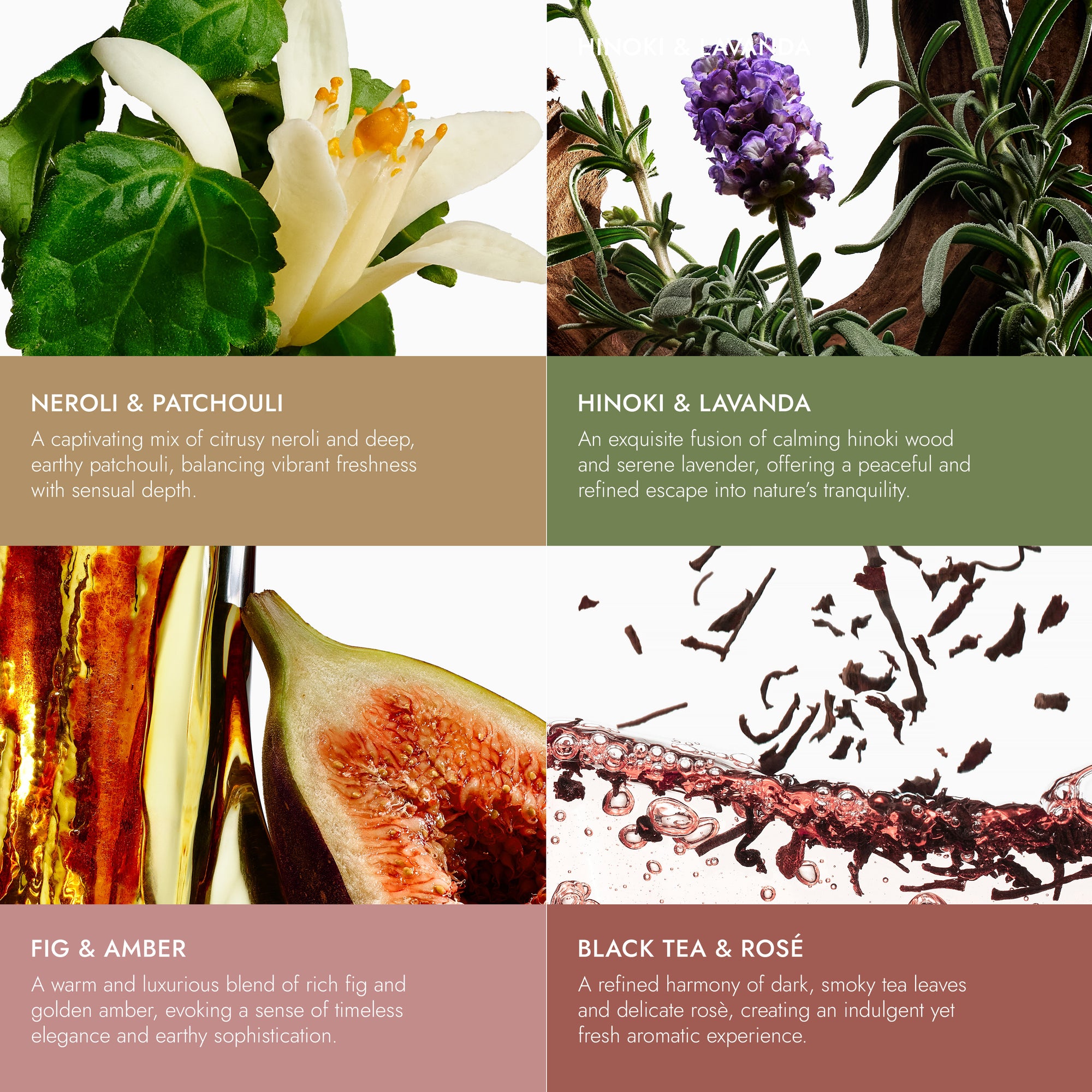 Exfoliating Body Wash Set - Sugar Scrubs with Plant-Derived AHAs