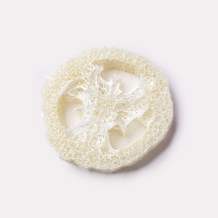 Natural Loofah Soap Dish on a white background