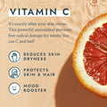 Vitamin C Shower Filter Clean Ocean