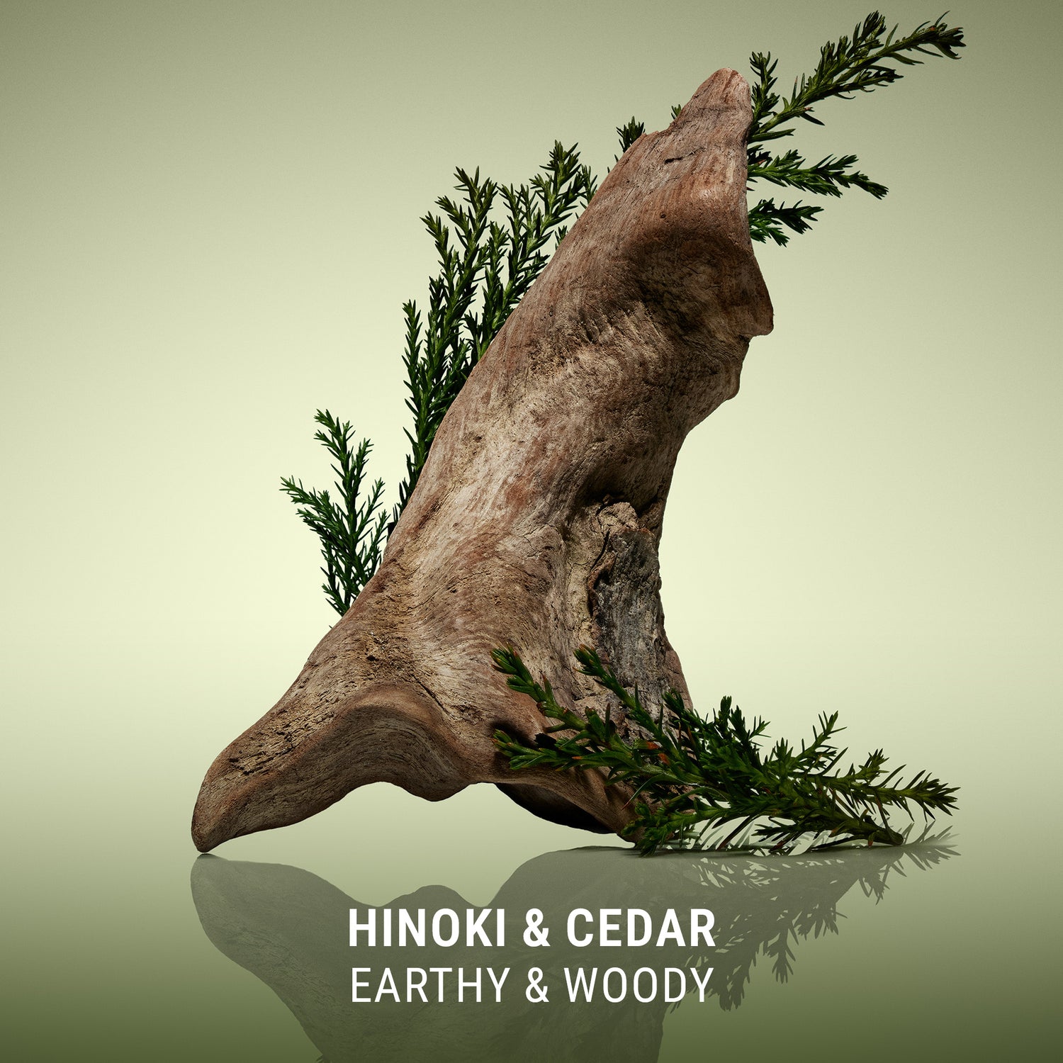 Resurfacing Sugar Scrub