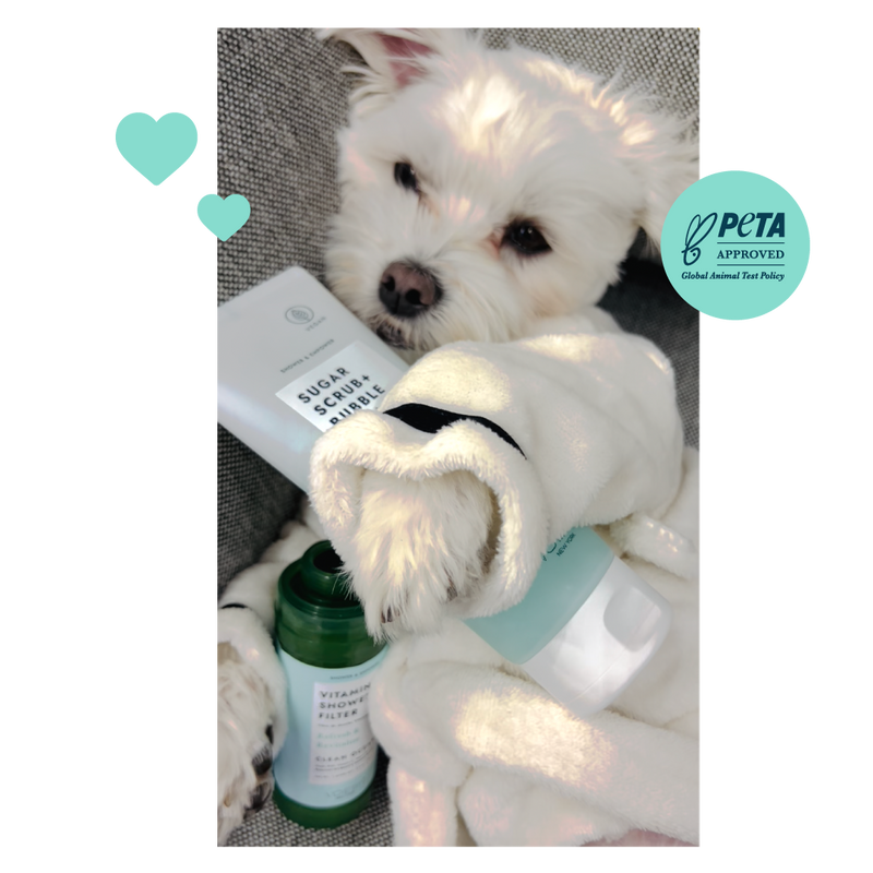 Small graphic teal hearts with Peta approved badge and photo of smalll white dog hugging the clean ocean sugar scrub and shower filter