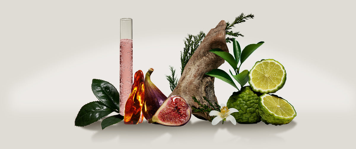 scents.jpg